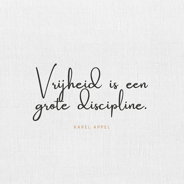 Drone animatie Sneekerwacht